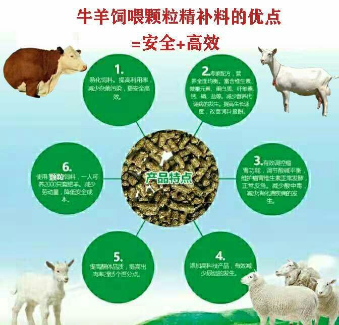 二、維生素、微量元素―――添加劑預(yù)混料